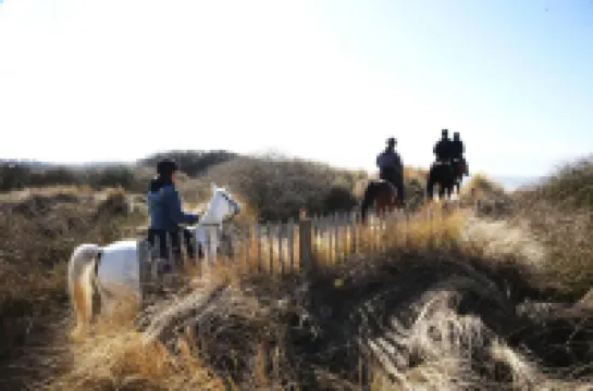 Casselbergh Residences Leader - de Haan