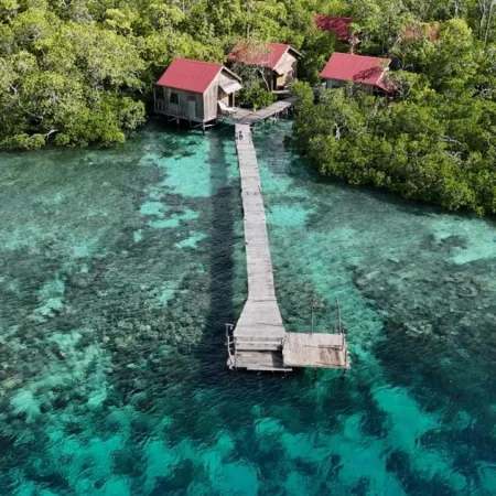 Cozzy Raja Ampat Blue Sea
