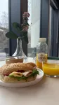 Hoom Home & Hotel Järfälla - acceptant les animaux