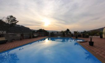 Mount View Executive