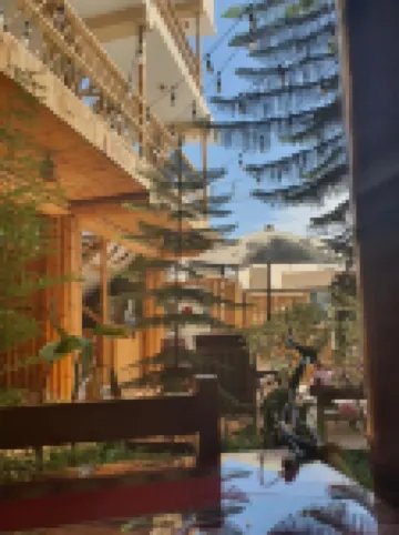 La Casa de Bamboo Hotels in 