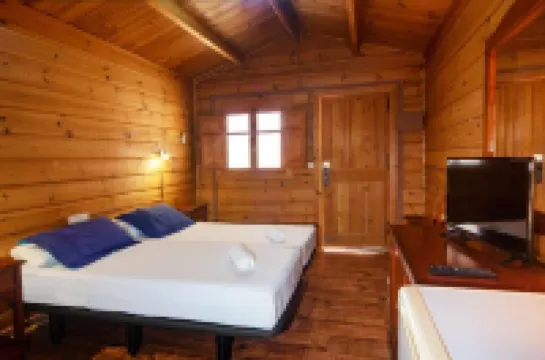 Apartamentos Palasiet