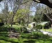 Backyard Garden Oasis