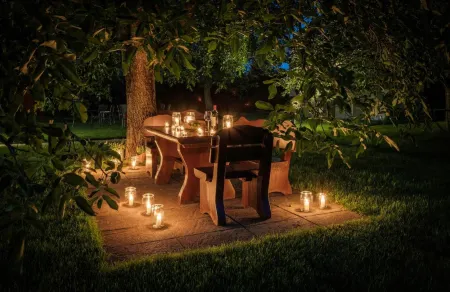 Hotel Sonnenhof Teinachtal Отели в г. Бад-Тайнах-Цафельштайн