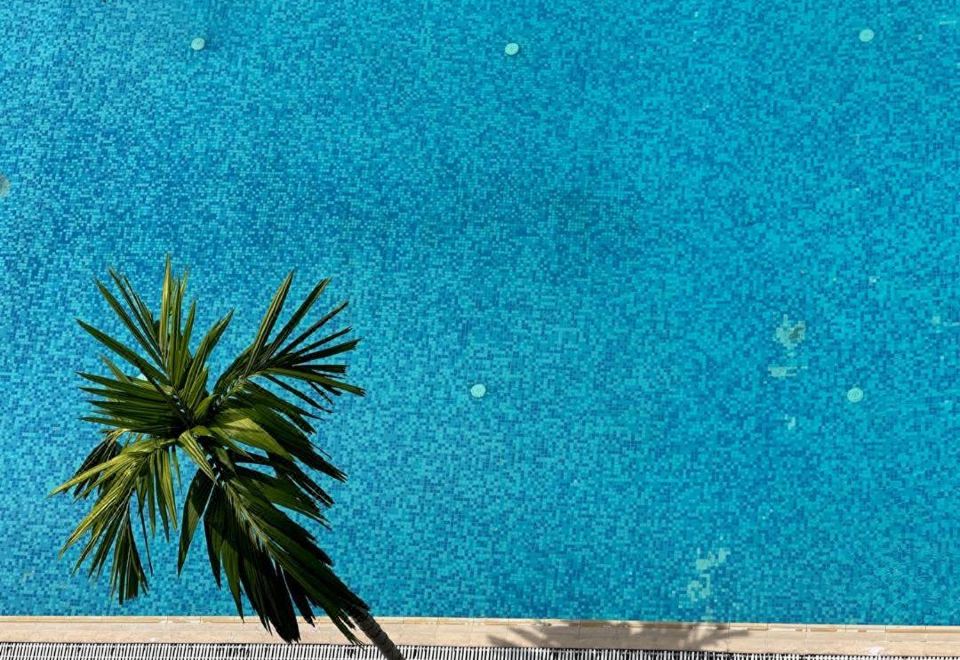 호텔 벨 비 썸네일