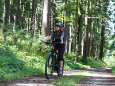 ホテル セルジスカ コカ ツェリェのホテル