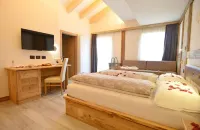 Wellness Hotel Dolomia Hotels in Soraga