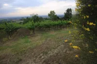 Agriturismo Gaggioli Borgo Delle Vigne