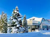 Kongsvinger Budget Hotel Hotels in 