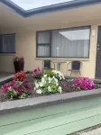 Alexandra Motor Lodge NZ Hotels in Alexandra