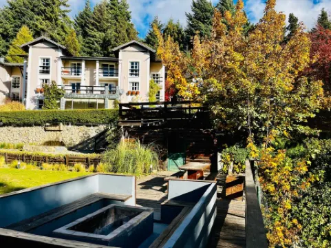 Aldea Andina Hotel&Spa