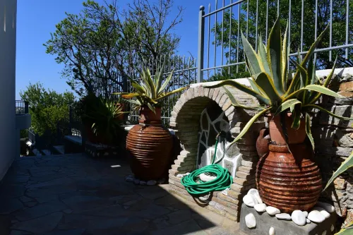 빌라 페니아 아모르고스 아일랜드