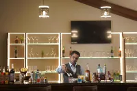 Radisson Resort Mount Abu - bar