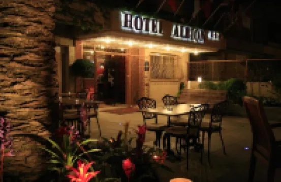 Hôtel Albion Hotels in 