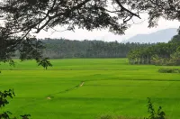 Century Grand Hotel Hotels in Mananthavady