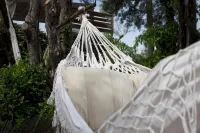 Guesthouse le Mas de Cotignac Hotels in Barjols