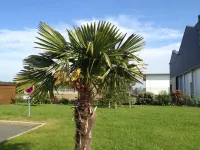 Kyriad Dol de Bretagne Hotels in Epiniac