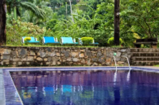 스위트 시나몬 칸디