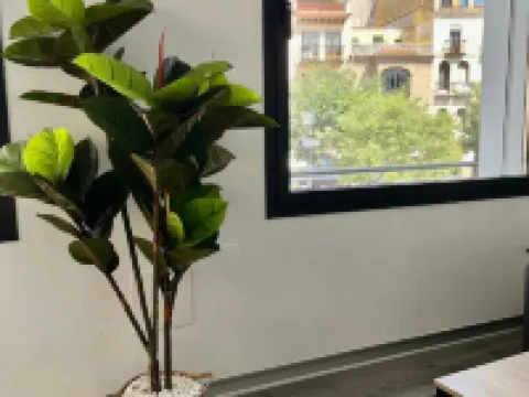 Plasencia Plaza Mayor Luxury Hotels in Comarca de Plasencia