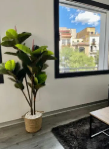 普拉森西亞梅約廣場奢華酒店