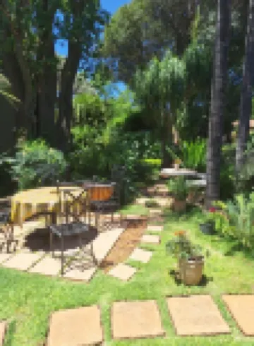 Three Olives Guesthouse