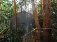 Amore on Buderim Rainforest Cabins Hotel di Mooloolaba