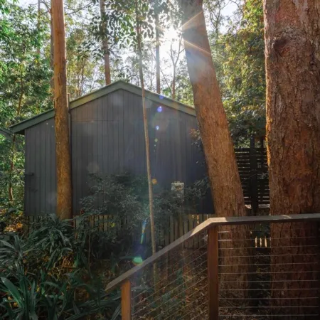 Amore on Buderim Rainforest Cabins
