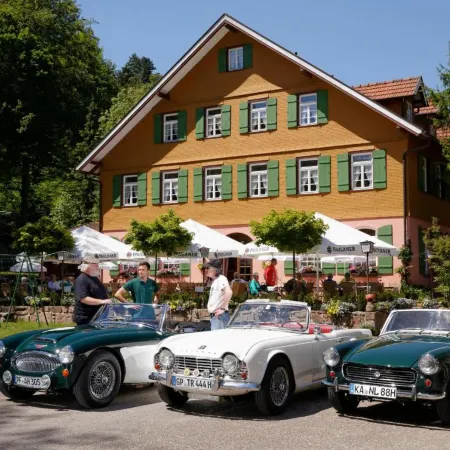 Hotel Zur Alten Mühle
