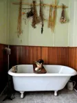 Auberge Carpe Diem Hotels in Baie-Saint-Paul