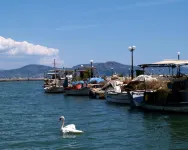 Argo Apartments Near Nafplio
