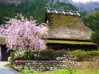 Ryokan Chinsen-Rou