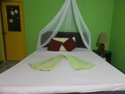 Green Bamboo House