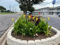 Motel 6 Denton, TX - UNT Hotels in Denton