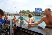 Lake Taupo Holiday Resort - bar
