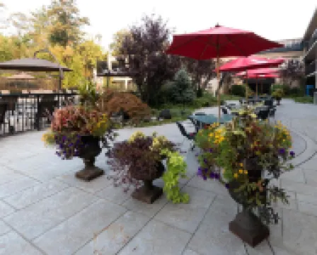New Hope Inn & Suites Hotels in 
