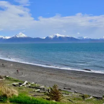 Driftwood Inn
