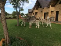 The Vaal Guesthouse Hotels in Northern Free State