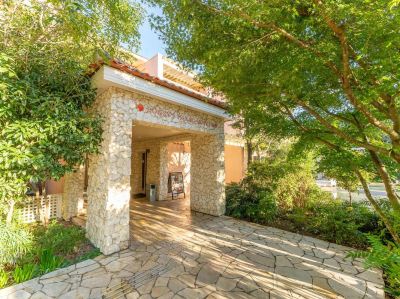 庭 小谷流の里 ドギーズアイランドの写真