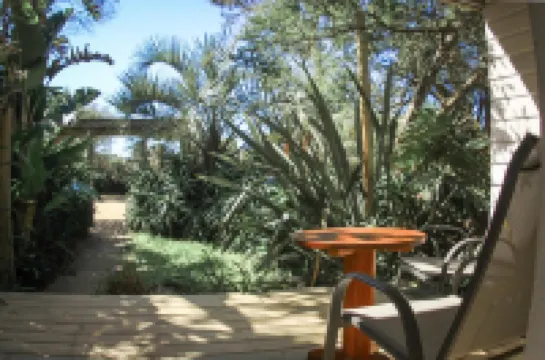 Aloe Village Aparthotel & Spa Hotels in 