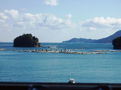 ホテルからの眺望 胡蝶蘭の写真