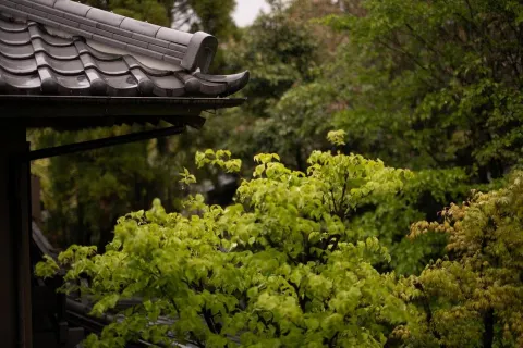 Yufuin Onsen Hinoharu Ryokan