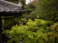 Yufuin Onsen Hinoharu Ryokan Các khách sạn gần Cầu Hotarumi