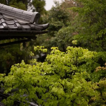 由布院温泉 日の春旅館 湯布院昭和館周辺のホテル