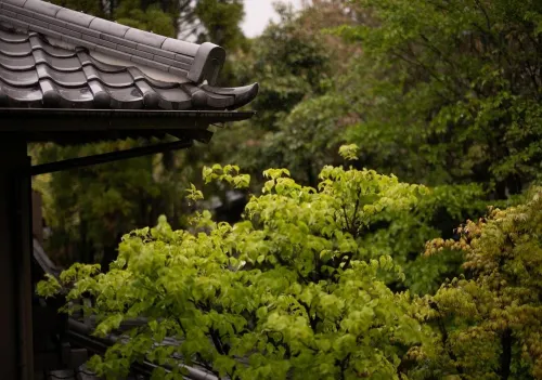 Yufuin Onsen Hinoharu Ryokan