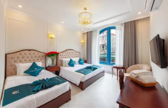 White Hotel Hotels in 