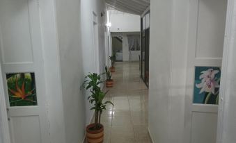 Hospedajes El Jardin