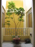 Retamas Hotel 2