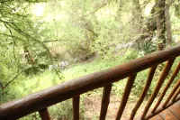 Riverside Guest Lodge - Mountain view