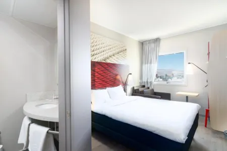 Ibis Copiapo
