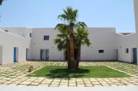 Campo Allegro